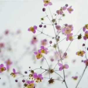 Meet your Posher, Jenn